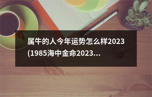 属牛的人今年运势怎么样2023(1985海中金命2023年运势)