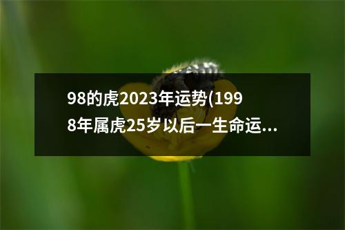 98的虎2023年运势(1998年属虎25岁以后一生命运)