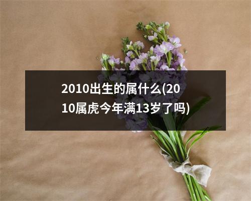 2010出生的属什么(2010属虎今年满13岁了吗)