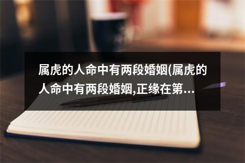 属虎的人命中有两段婚姻(属虎的人命中有两段婚姻,正缘在第二段)