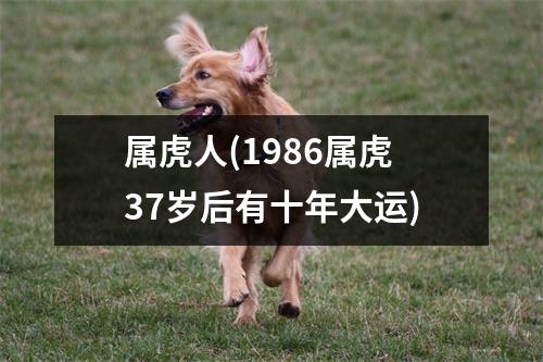 属虎人(1986属虎37岁后有十年大运)