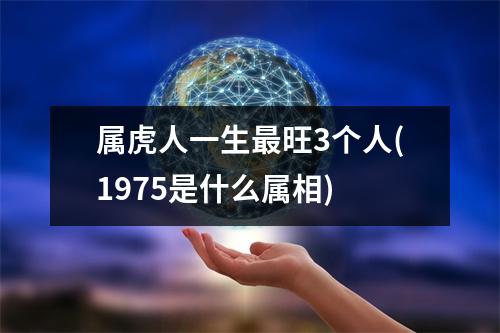 属虎人一生旺3个人(1975是什么属相)