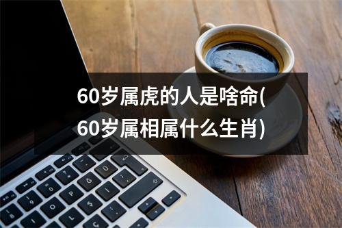 60岁属虎的人是啥命(60岁属相属什么生肖)