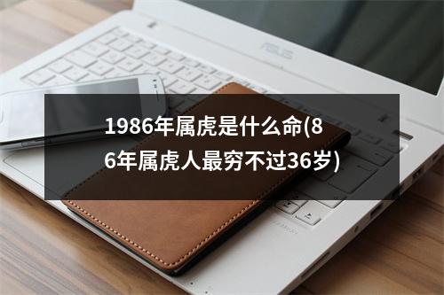 1986年属虎是什么命(86年属虎人穷不过36岁)