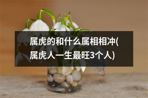 属虎的和什么属相相冲(属虎人一生旺3个人)