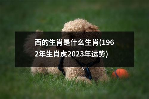 西的生肖是什么生肖(1962年生肖虎2023年运势)