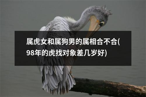 属虎女和属狗男的属相合不合(98年的虎找对象差几岁好)