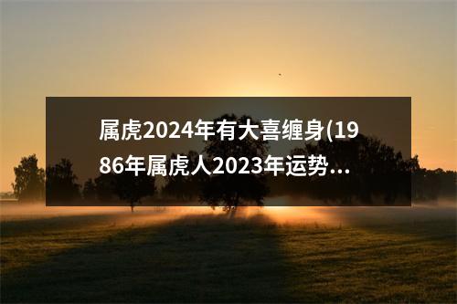 属虎2024年有大喜缠身(1986年属虎人2023年运势)