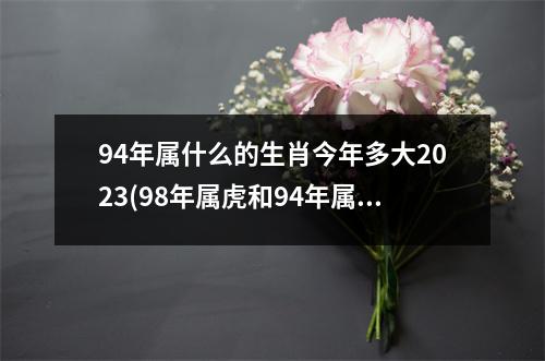 94年属什么的生肖今年多大2023(98年属虎和94年属狗的婚姻如何)