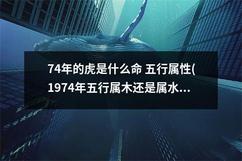 74年的虎是什么命 五行属性(1974年五行属木还是属水)