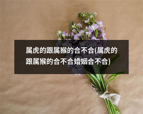 属虎的跟属猴的合不合(属虎的跟属猴的合不合婚姻合不合)