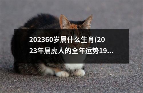 202360岁属什么生肖(2023年属虎人的全年运势1986出生)