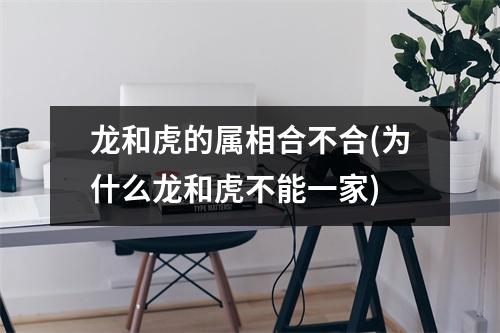 龙和虎的属相合不合(为什么龙和虎不能一家)