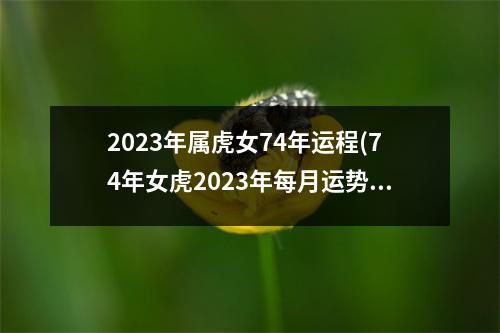 2023年属虎女74年运程(74年女虎2023年每月运势)