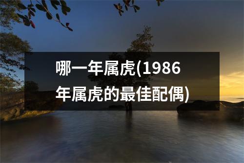 哪一年属虎(1986年属虎的佳配偶)