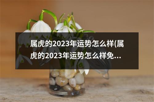 属虎的2023年运势怎么样(属虎的2023年运势怎么样免费八字算命网)