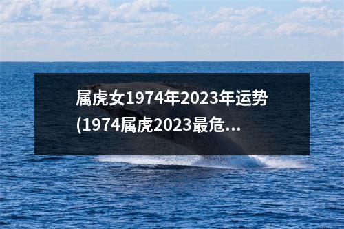 属虎女1974年2023年运势(1974属虎2023危险的一个月)