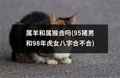 属羊和属猴合吗(95猪男和98年虎女八字合不合)