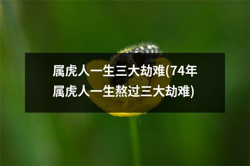 属虎人一生三大劫难(74年属虎人一生熬过三大劫难)