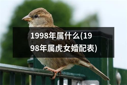 1998年属什么(1998年属虎女婚配表)