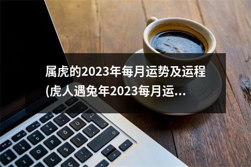 属虎的2023年每月运势及运程(虎人遇兔年2023每月运势如何)