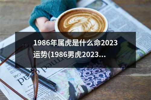 1986年属虎是什么命2023运势(1986男虎2023年运势及运程)