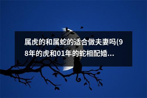 属虎的和属蛇的适合做夫妻吗(98年的虎和01年的蛇相配婚姻如何)