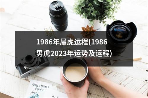 1986年属虎运程(1986男虎2023年运势及运程)