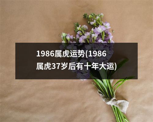 1986属虎运势(1986属虎37岁后有十年大运)