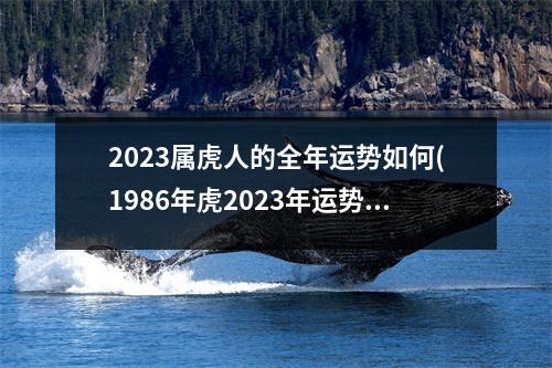 2023属虎人的全年运势如何(1986年虎2023年运势)