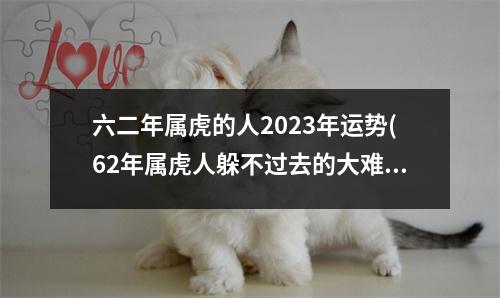 六二年属虎的人2023年运势(62年属虎人躲不过去的大难)