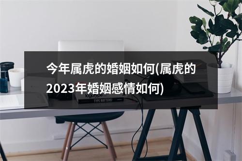 今年属虎的婚姻如何(属虎的2023年婚姻感情如何)