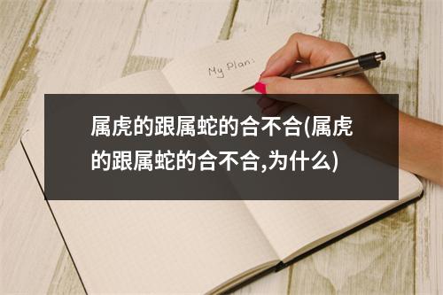 属虎的跟属蛇的合不合(属虎的跟属蛇的合不合,为什么)