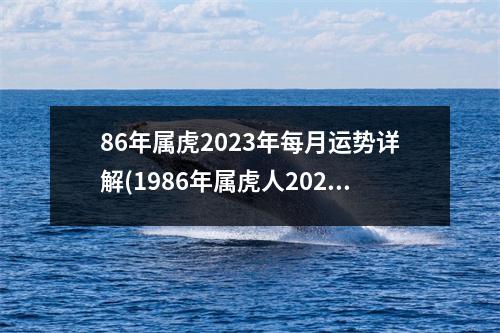 86年属虎2023年每月运势详解(1986年属虎人2023旺数字)