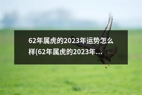 62年属虎的2023年运势怎么样(62年属虎的2023年运势怎么样呢)