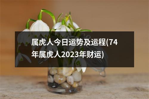 属虎人今日运势及运程(74年属虎人2023年财运)