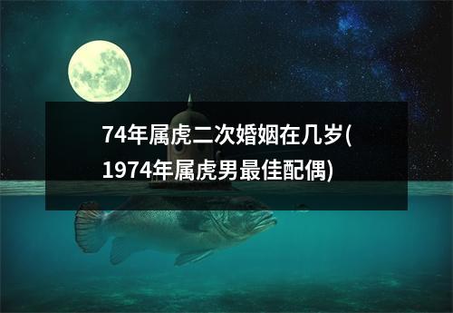 74年属虎二次婚姻在几岁(1974年属虎男佳配偶)