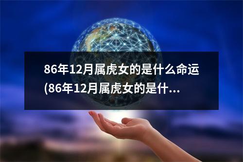 86年12月属虎女的是什么命运(86年12月属虎女的是什么命运呀)