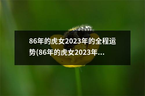 86年的虎女2023年的全程运势(86年的虎女2023年的全程运势怎么样)