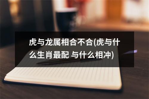 虎与龙属相合不合(虎与什么生肖配 与什么相冲)