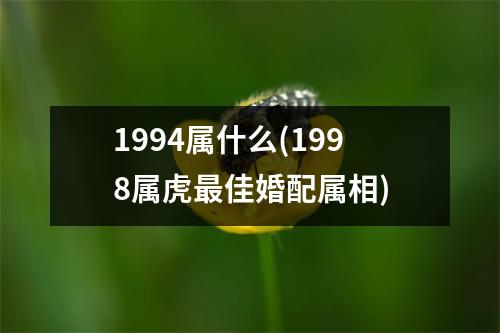 1994属什么(1998属虎佳婚配属相)