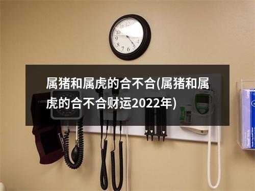 属猪和属虎的合不合(属猪和属虎的合不合财运2022年)