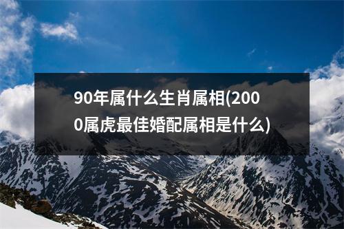 90年属什么生肖属相(2000属虎佳婚配属相是什么)