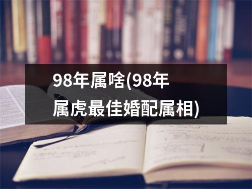 98年属啥(98年属虎佳婚配属相)