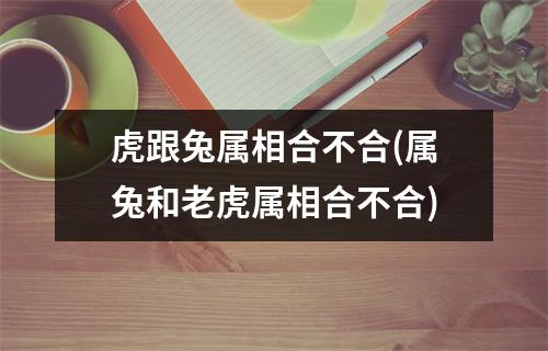 虎跟兔属相合不合(属兔和老虎属相合不合)