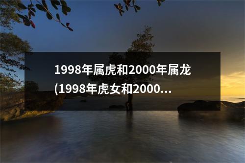 1998年属虎和2000年属龙(1998年虎女和2000年龙男姻缘)