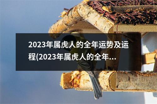 2023年属虎人的全年运势及运程(2023年属虎人的全年运势及运程麦玲玲)