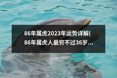 86年属虎2023年运势详解(86年属虎人穷不过36岁)