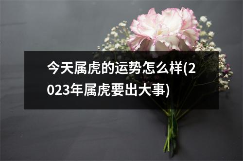 今天属虎的运势怎么样(2023年属虎要出大事)