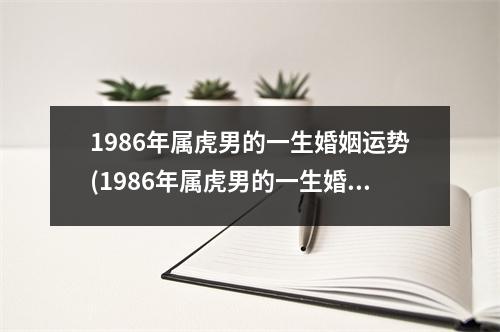 1986年属虎男的一生婚姻运势(1986年属虎男的一生婚姻运势怎么样)